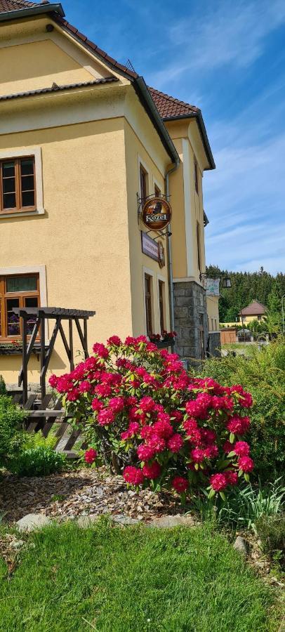 Pension Pod Lipou Loučovice 外观 照片