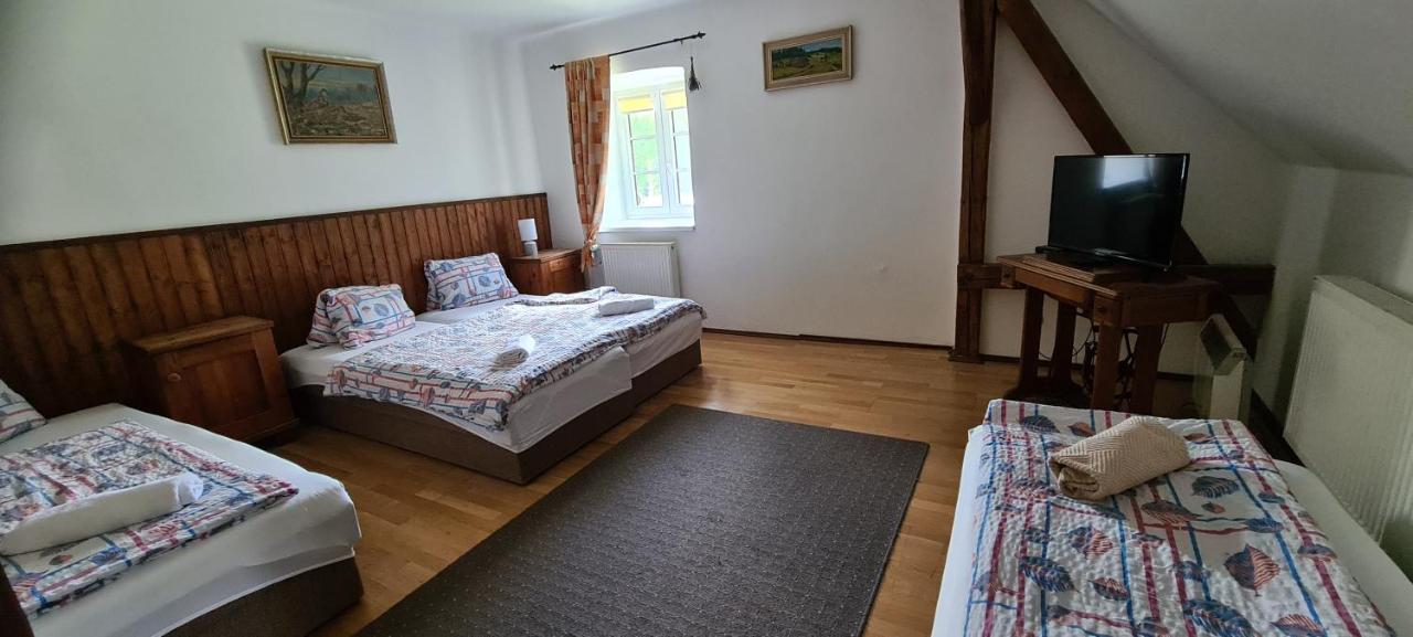 Pension Pod Lipou Loučovice 外观 照片