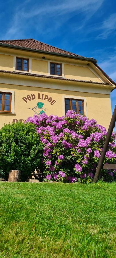 Pension Pod Lipou Loučovice 外观 照片